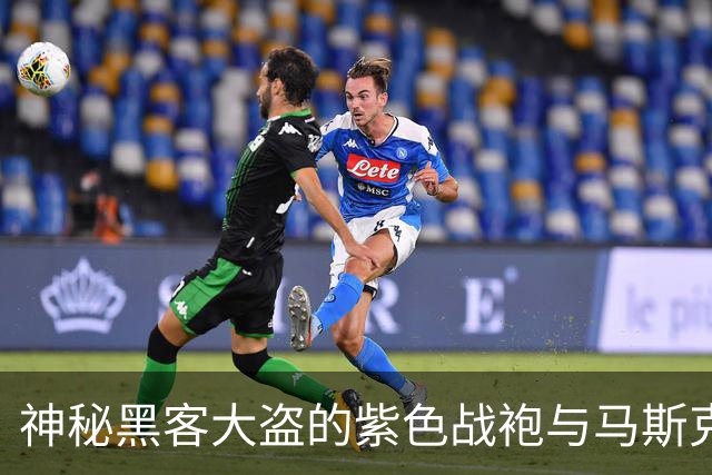 神秘黑客大盗的紫色战袍与马斯克的冷笑